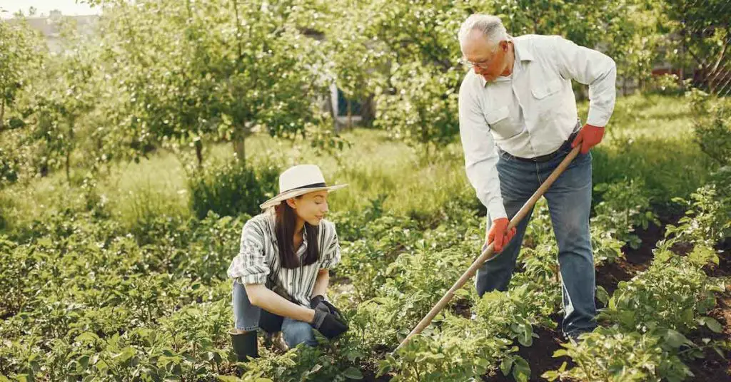 How to do Homesteading with a Full-Time Job - Article Image