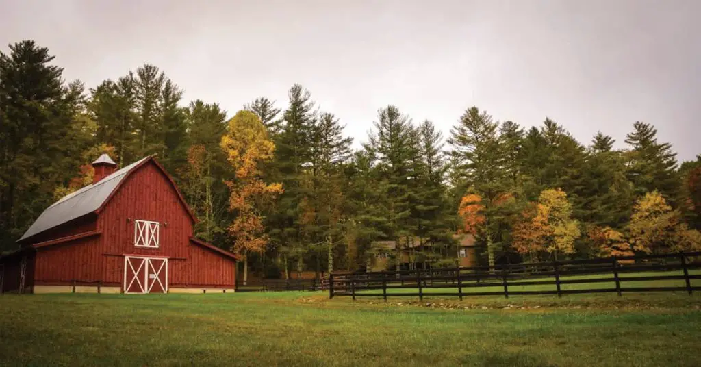 How to Start a Homestead - Featured Image