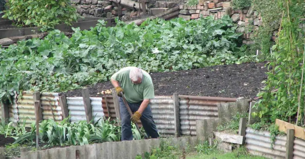 Man working on a homestead | How to start a homestead by HomesteadingSimple.com