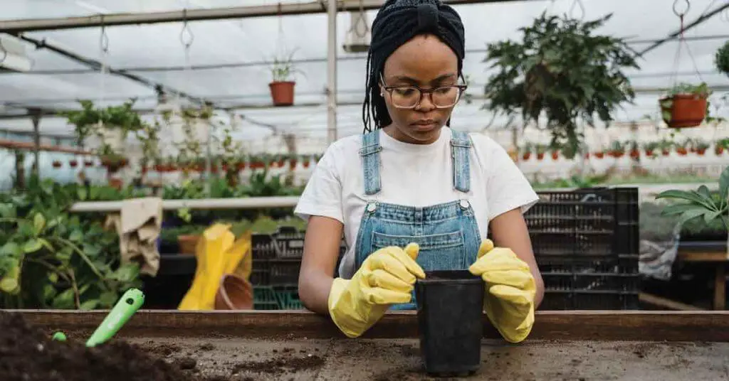 Woman Preparing A Pot For Planting