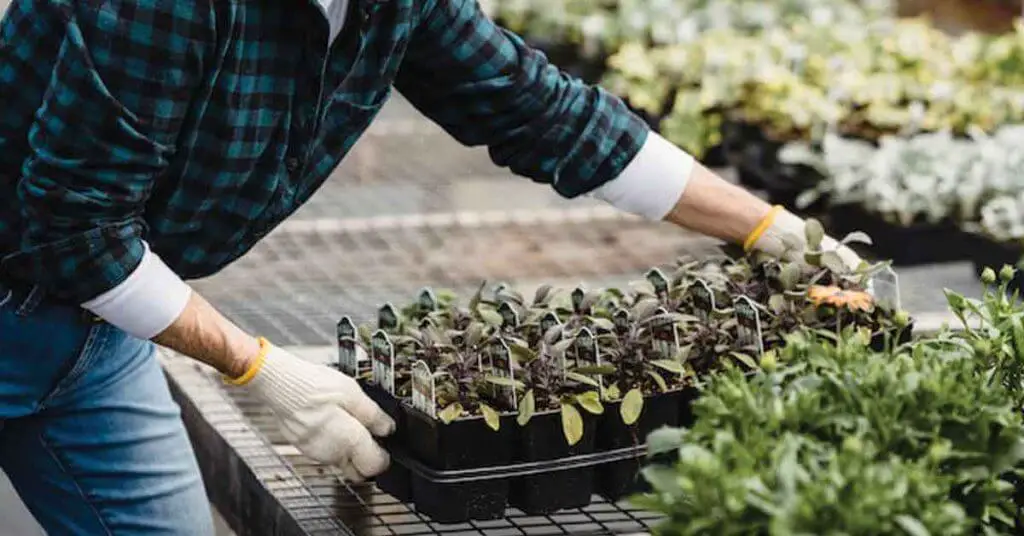 Indoor Vertical Farming - Article Image 2