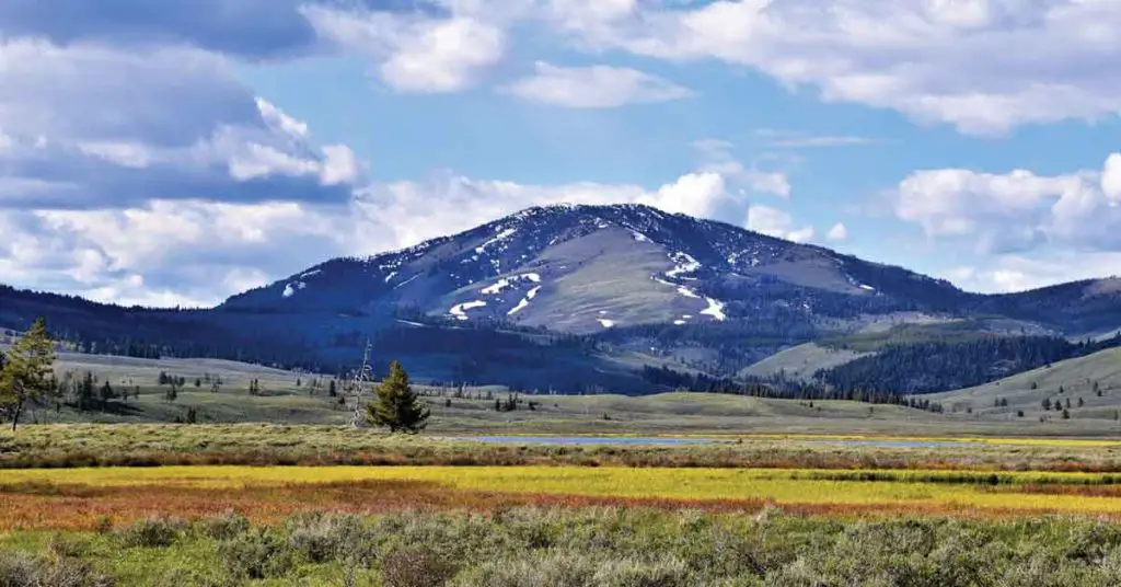 Homesteading in Montana