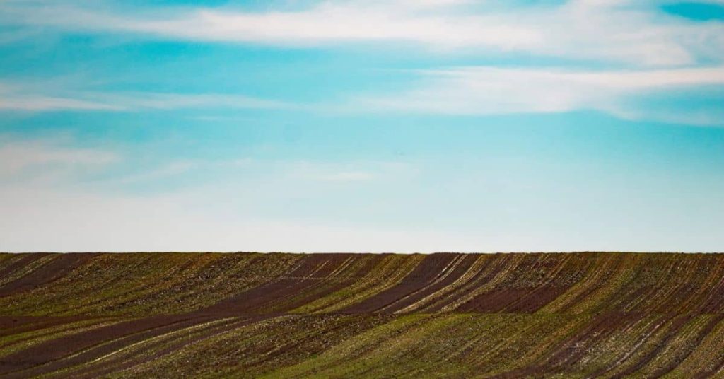 Bare homesteading land: Homesteading in Iowa