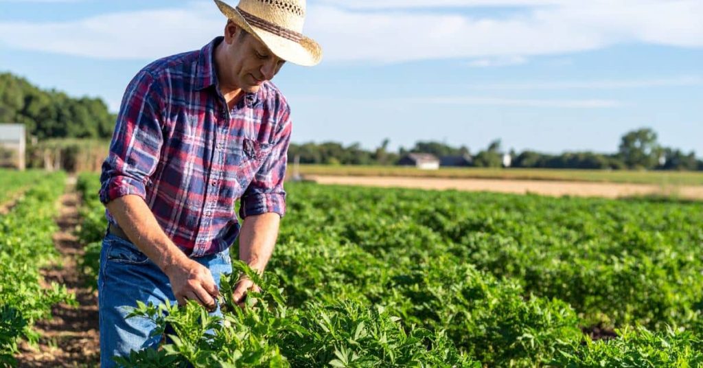 Homesteading in Kentucky