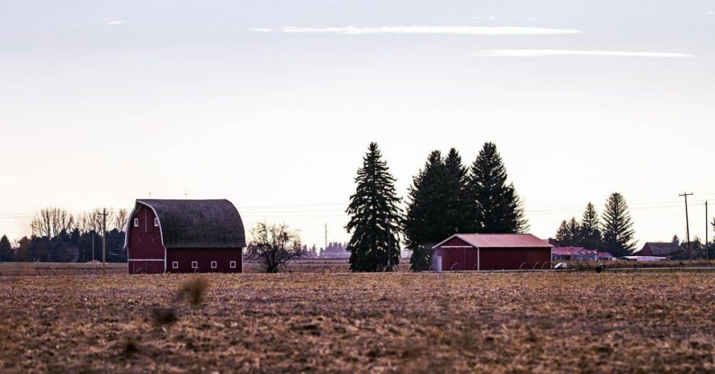 Idaho Homestead