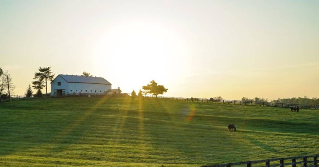 Kentucky Farm: Homesteading in Kentucky