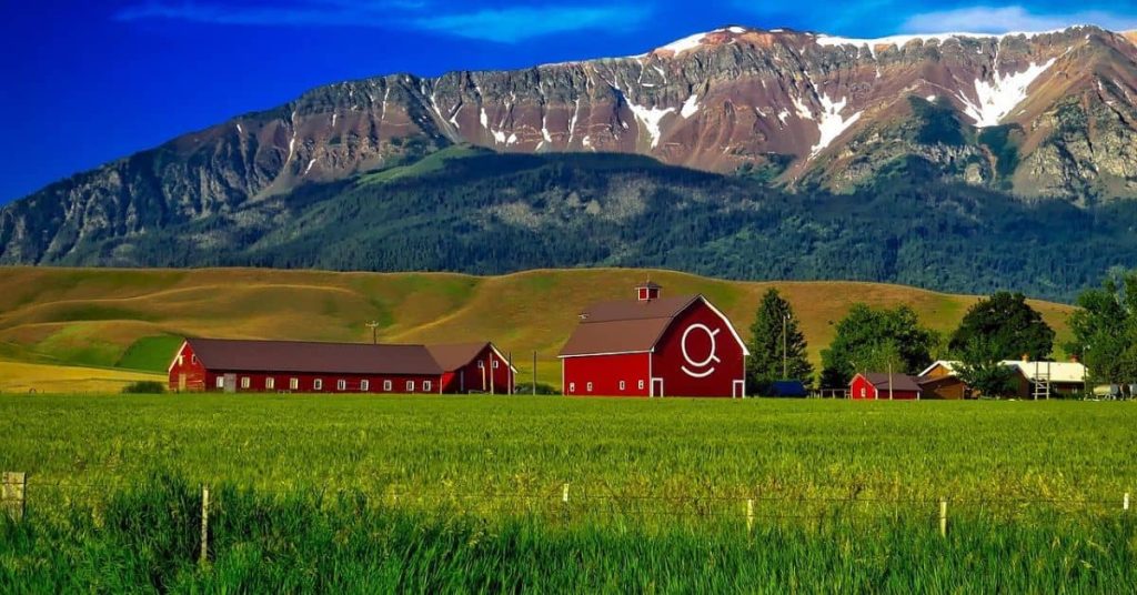 Oregon Homestead