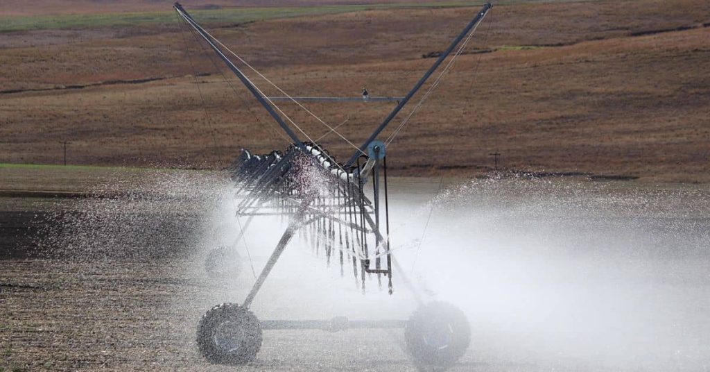 Smart Irrigation: Homesteading in Early Summer