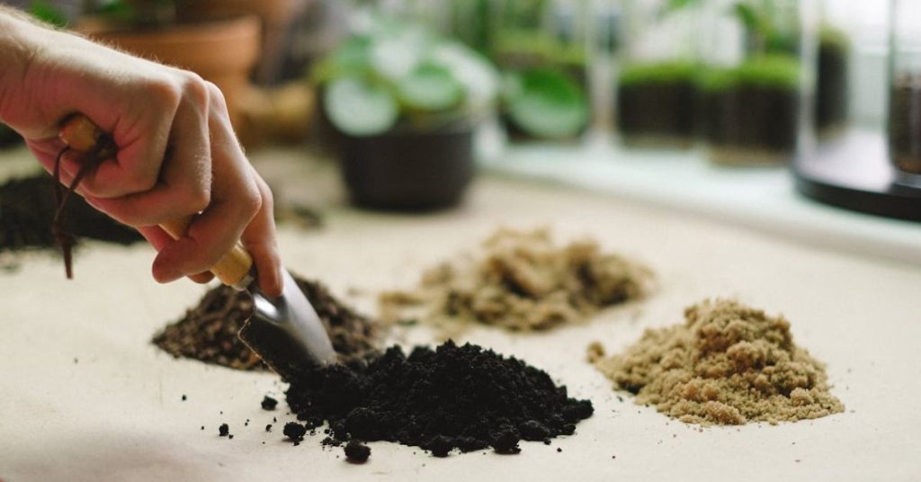 Composting in an urban apartment