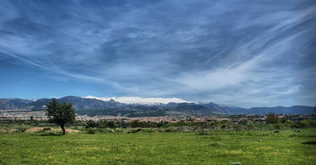 Farm in Northern Nevada