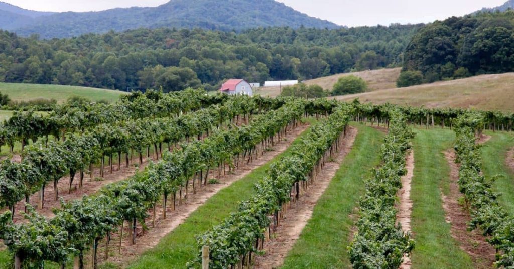 Homestead in West Virginia