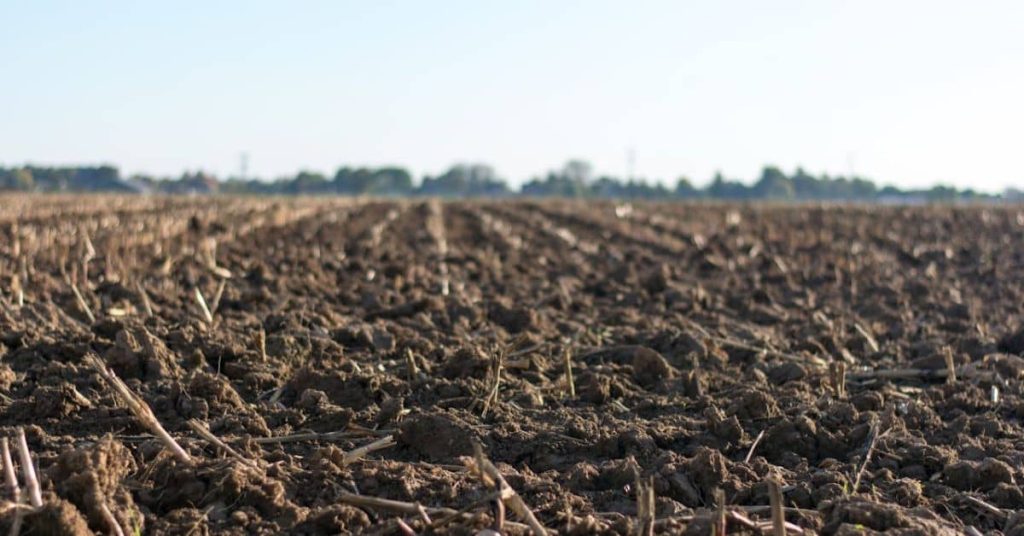 West Virginia Farmland: Homesteading in West Virginia