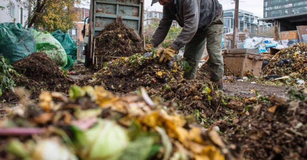 Worker picking up finished compost