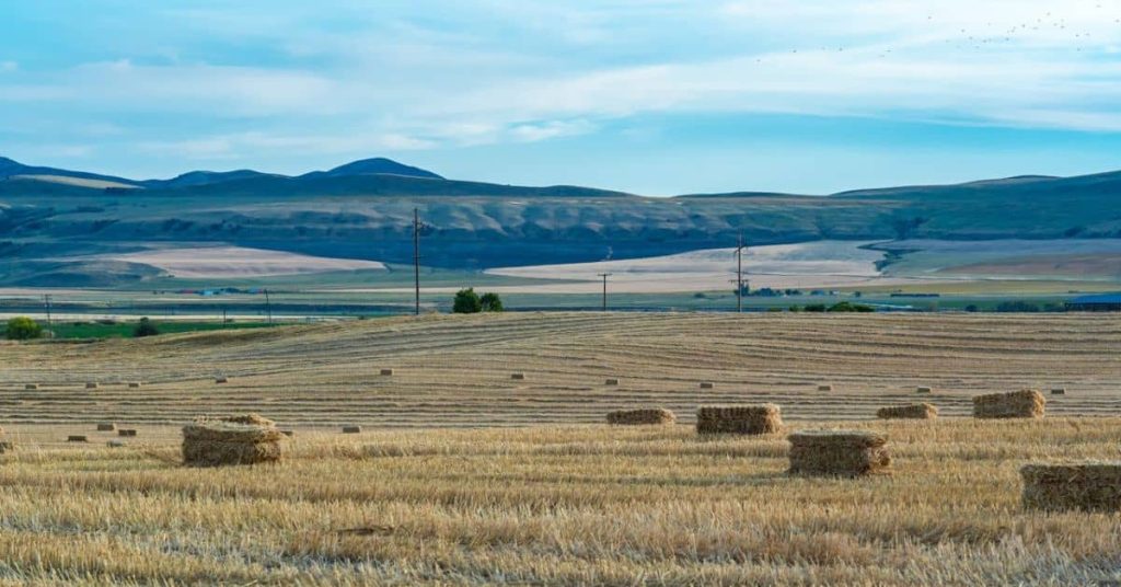 Homestead in Newton, Utah