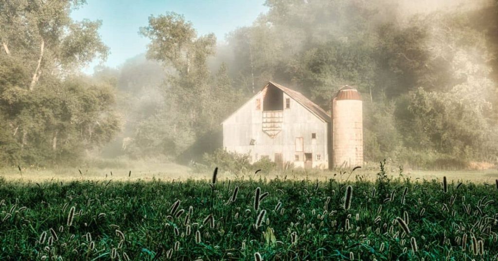 Wooden house in a homestead