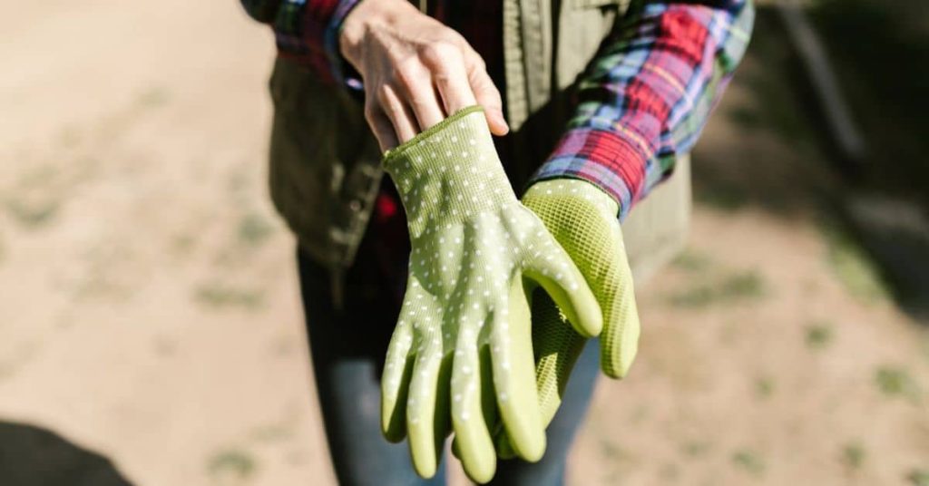 Homesteader putting on gloves: Homesteading in South Dakota