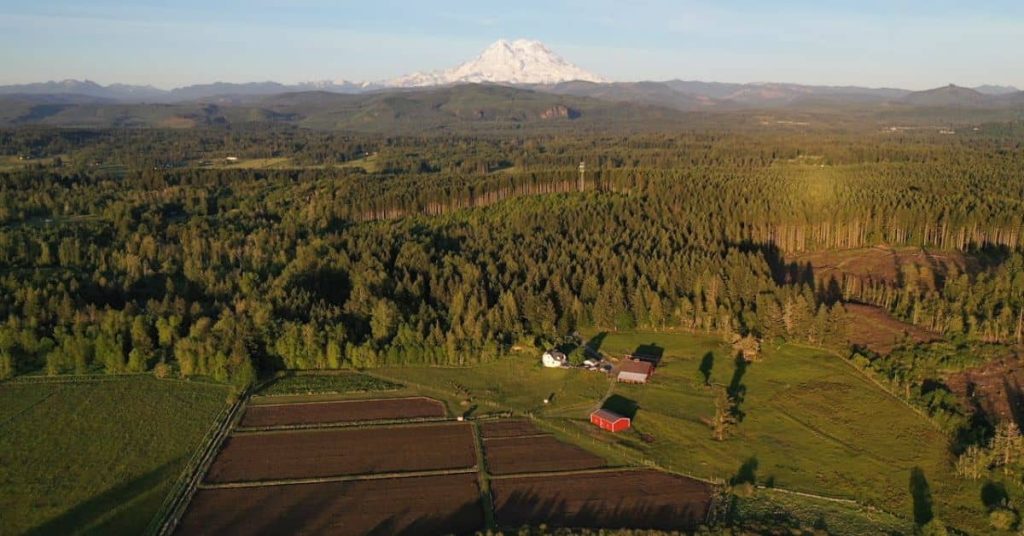 Homestead in WA, United States
