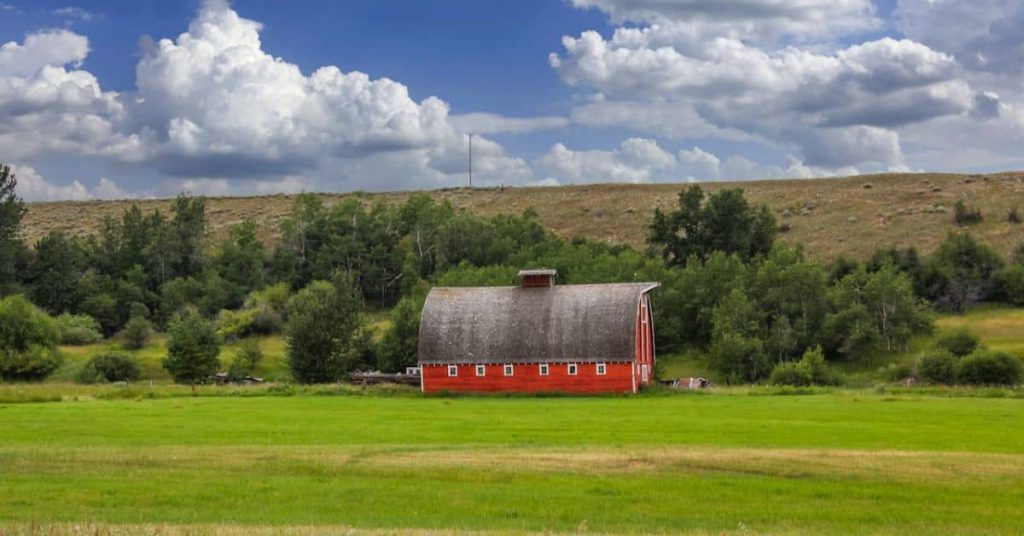 Red barn on a Montana homestead: Homesteading in Montana
