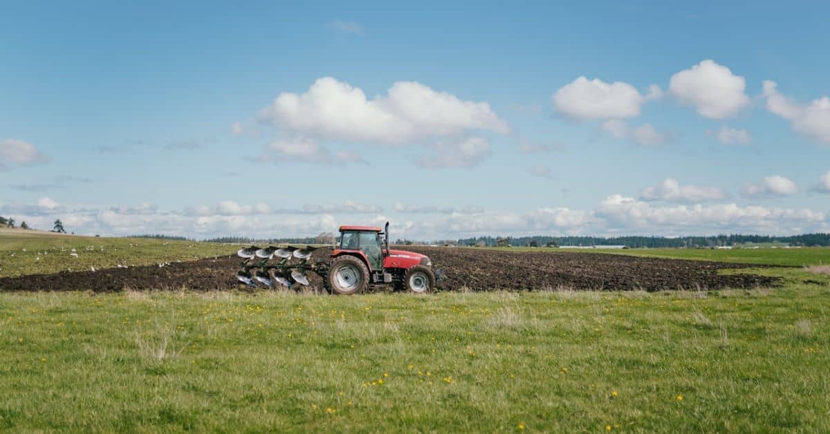 Ready to Boost Your Roots? Homesteading in Indiana Guide - Homesteading ...