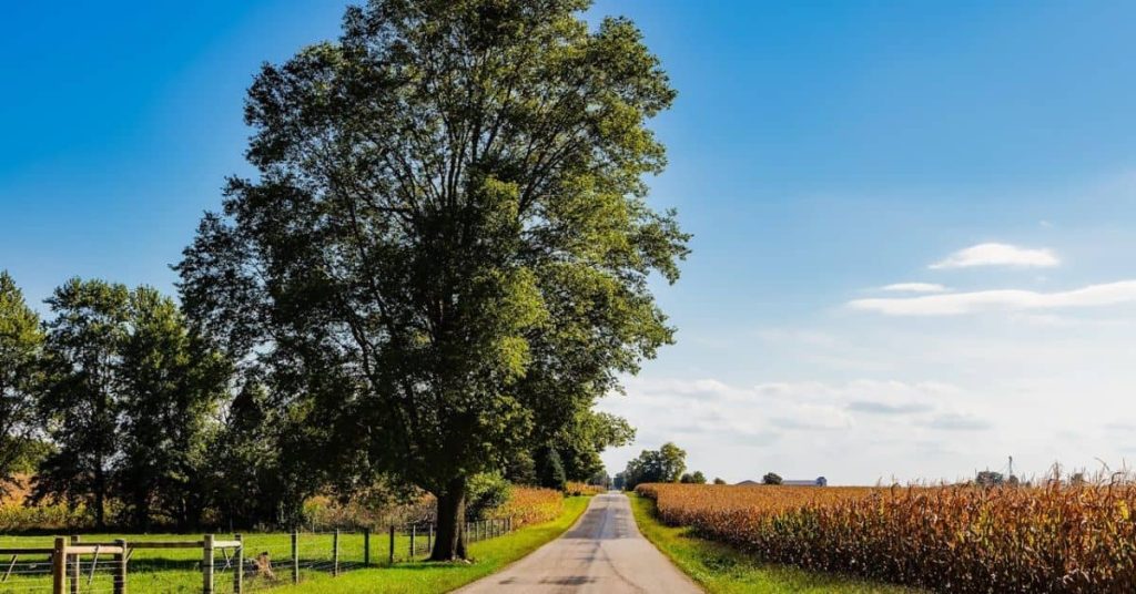 Indiana Countryside